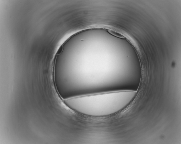 X0000094171102200710260903