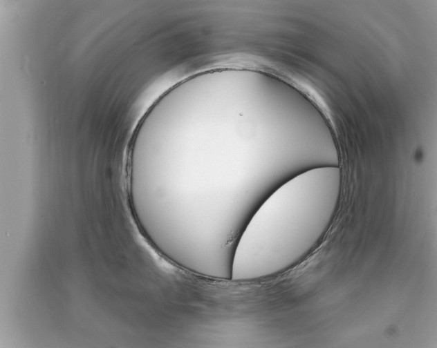 X0000094171103200710260903