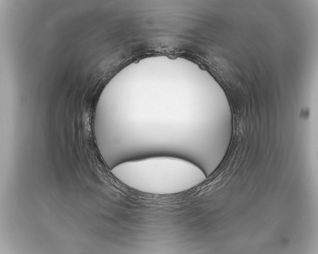 X0000094171106200710260903