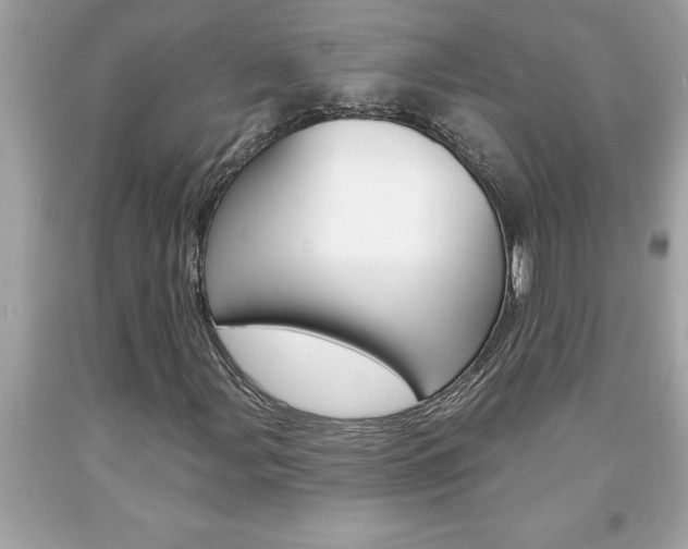 X0000094171107200710260903