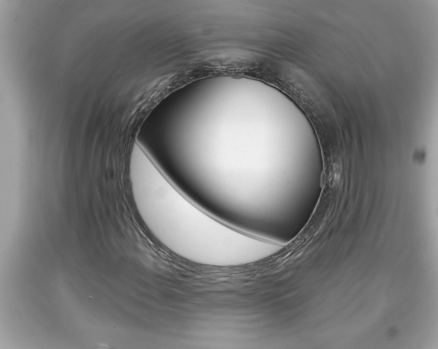 X0000094171108200710260903
