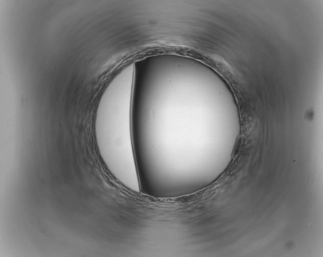 X0000094171110200710260903