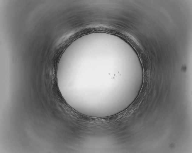 X0000094171111200710260903