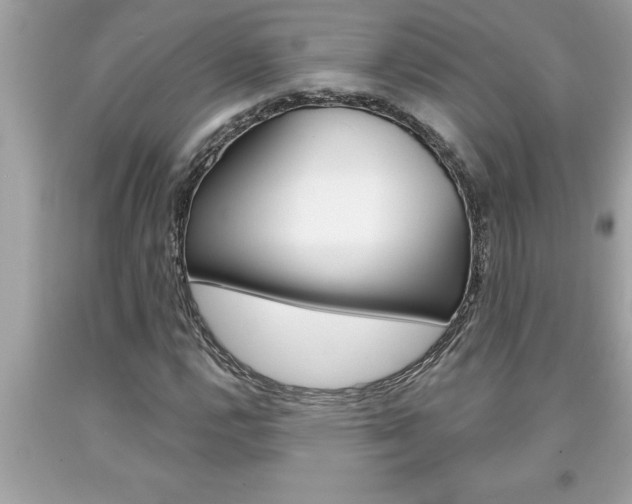 X0000094171112200710260903