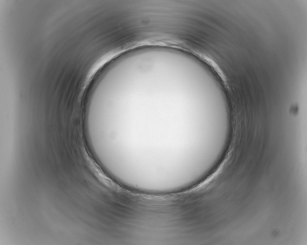 X0000094171114200710260903