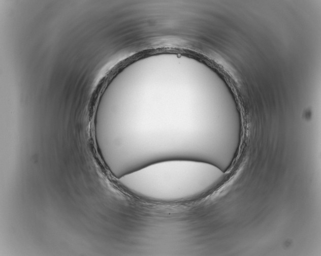 X0000094171117200710260903