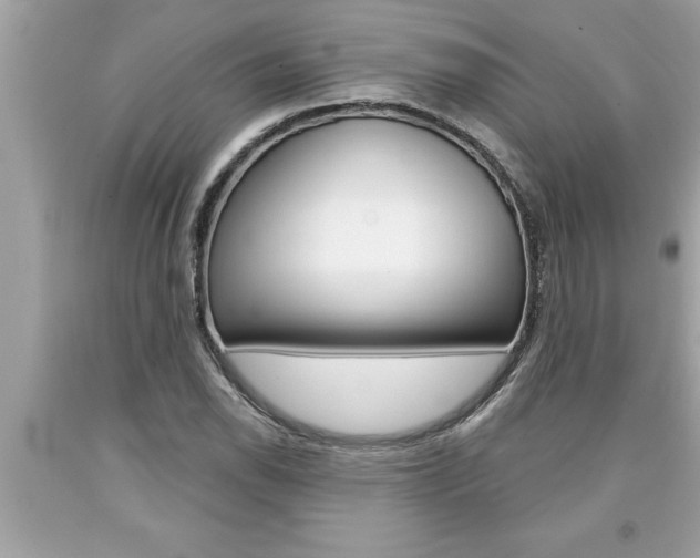 X0000094171118200710260903