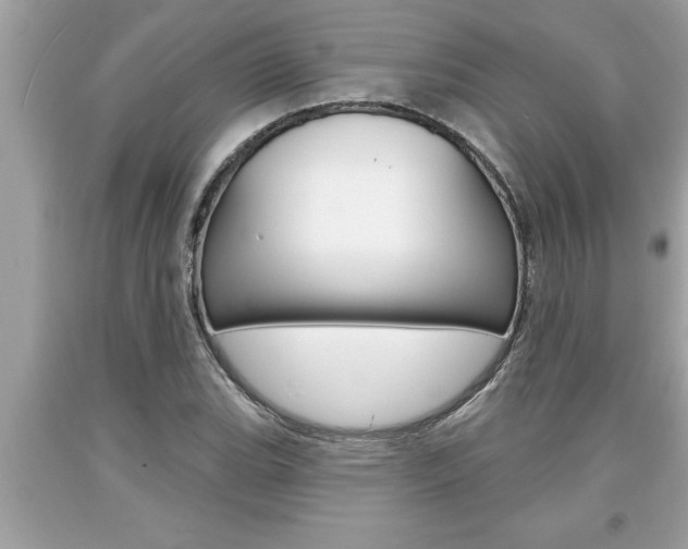 X0000094171119200710260903