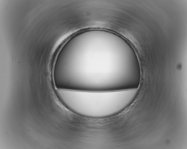 X0000094171120200710260903