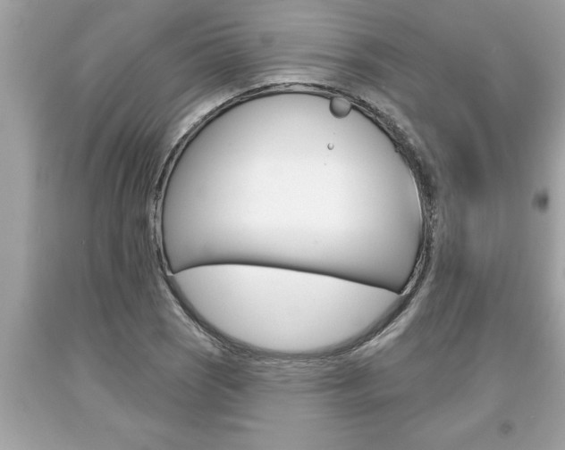 X0000094171121200710260903