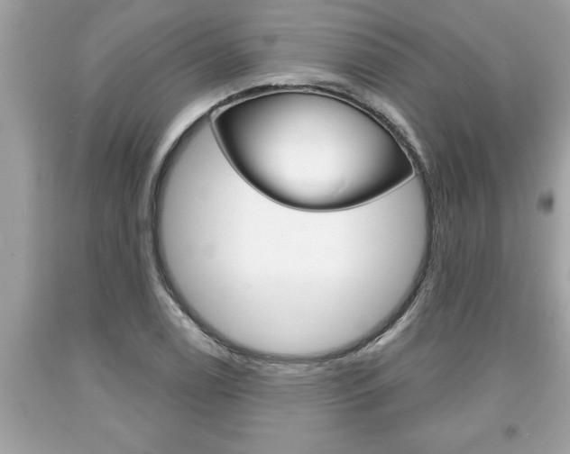 X0000094171122200710260903