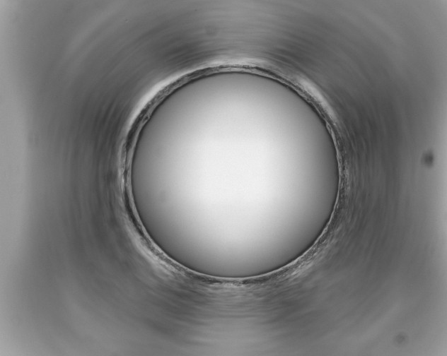 X0000094171124200710260903