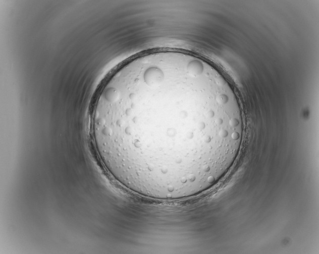 X0000094171125200710260903