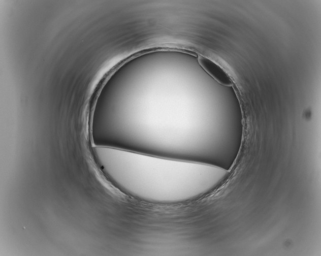 X0000094171128200710260903