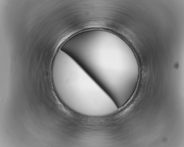 X0000094171129200710260903