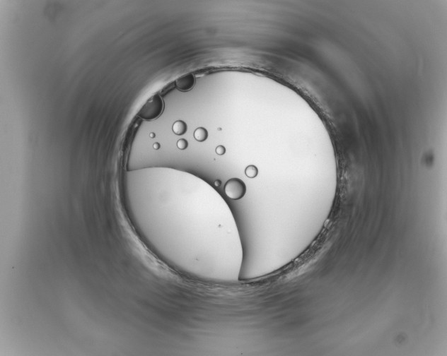 X0000094171130200710260903