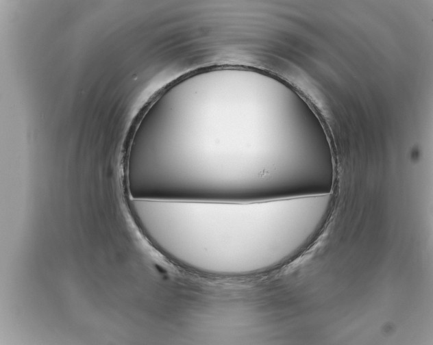 X0000094171133200710260903
