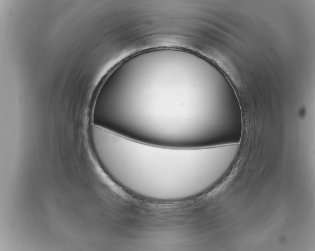 X0000094171134200710260903