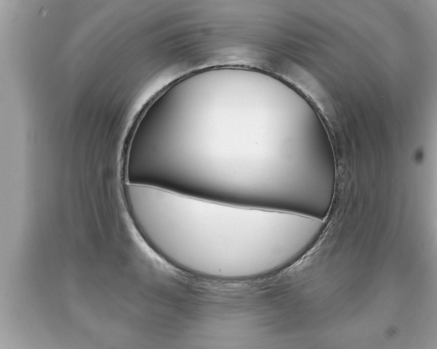 X0000094171135200710260903