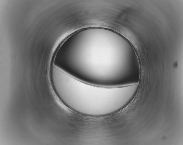 X0000094171136200710260903