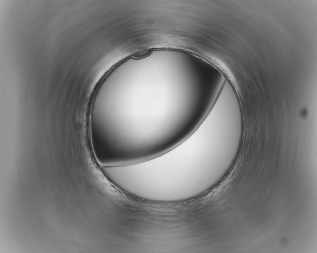 X0000094171138200710260903