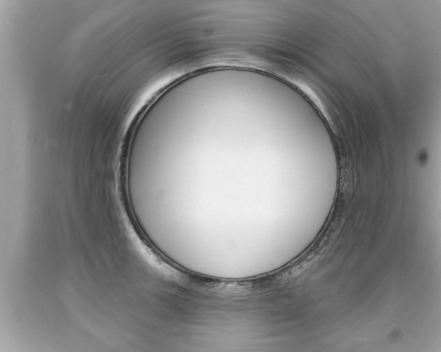 X0000094171139200710260903