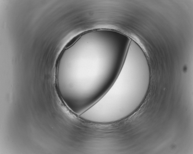 X0000094171140200710260903