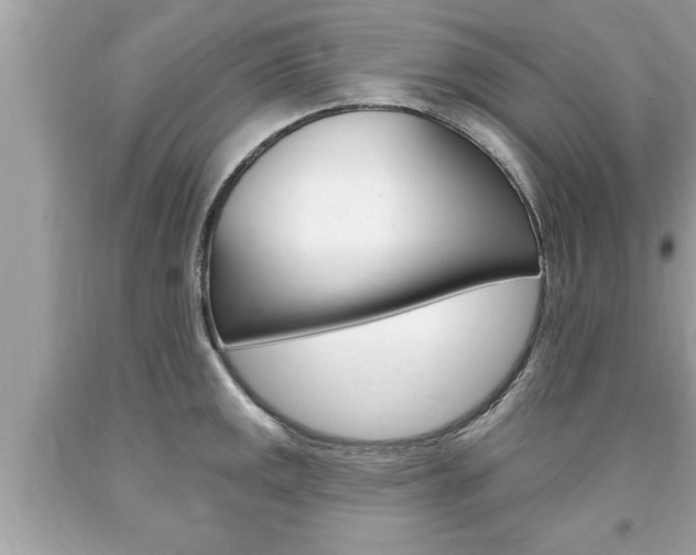 X0000094171141200710260903