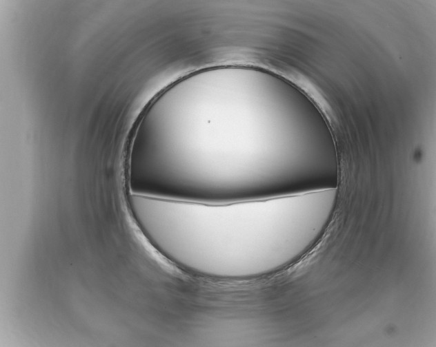 X0000094171142200710260903