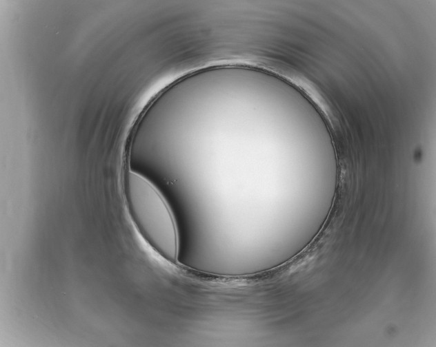 X0000094171143200710260903