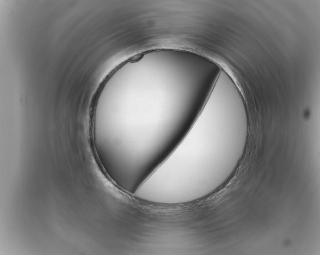 X0000094171147200710260903