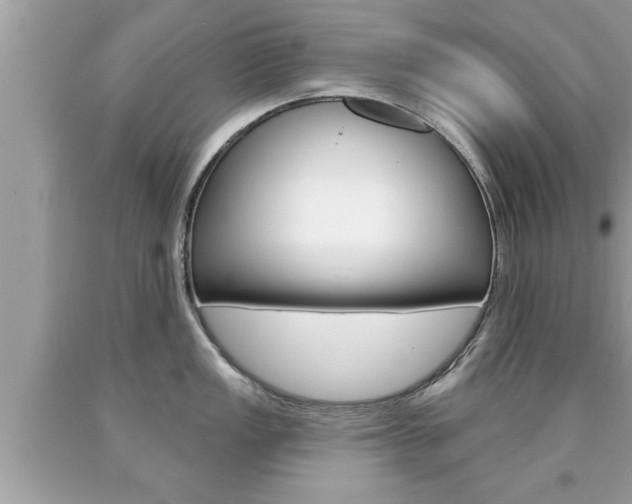 X0000094171149200710260903