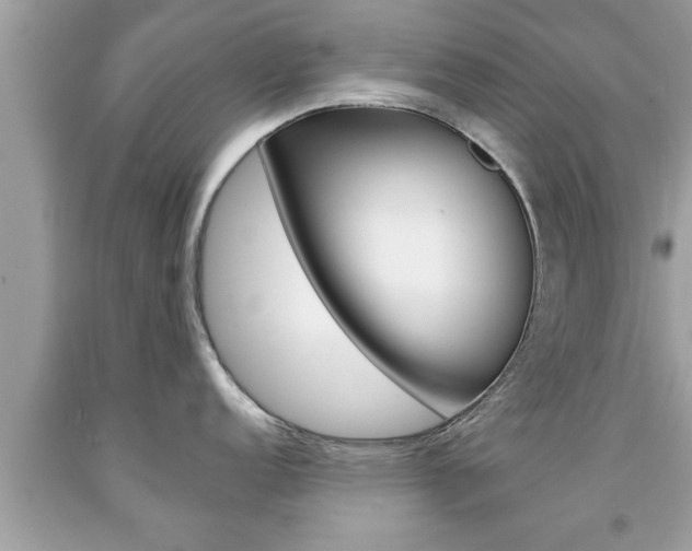 X0000094171152200710260903