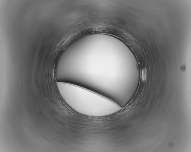 X0000094171155200710260903