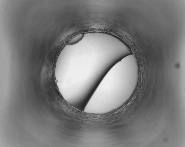 X0000094171158200710260903