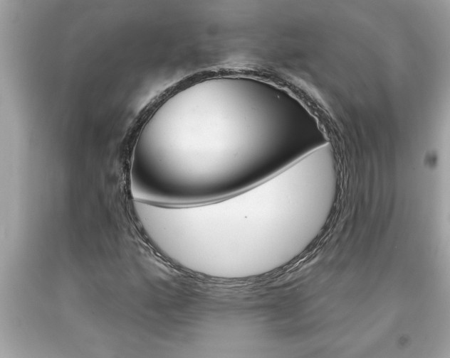 X0000094171160200710260903