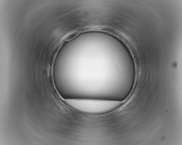 X0000094171161200710260903