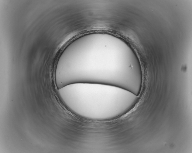 X0000094171162200710260903
