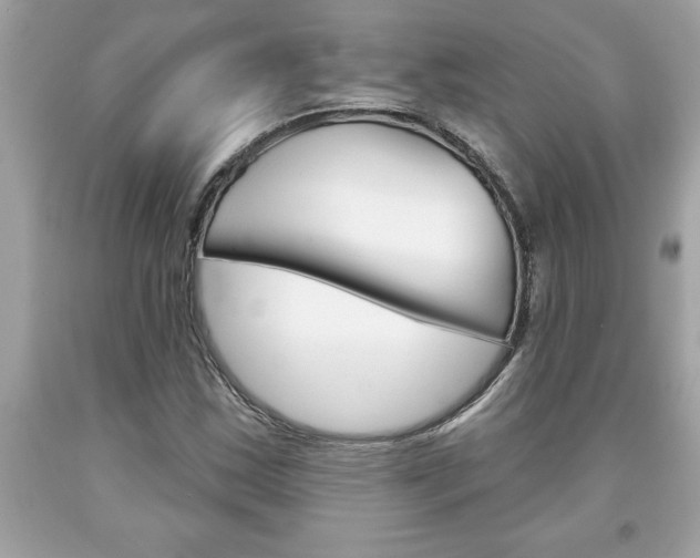 X0000094171163200710260903