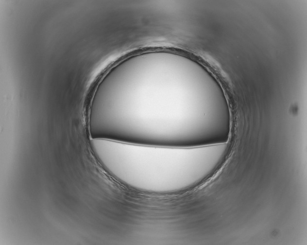 X0000094171167200710260903