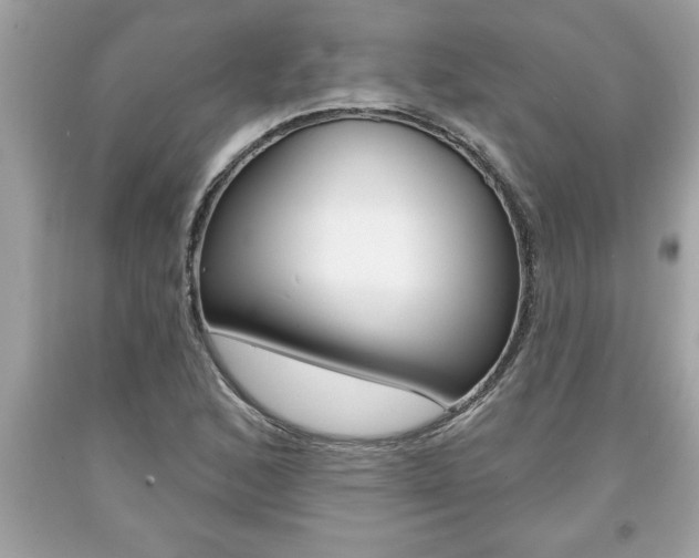 X0000094171168200710260903