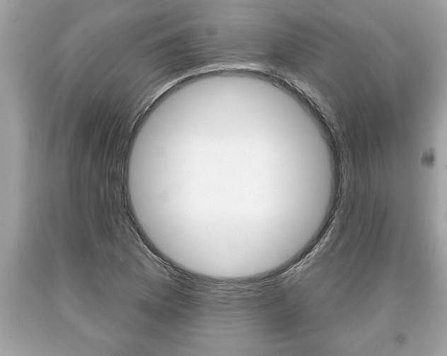 X0000094171169200710260903