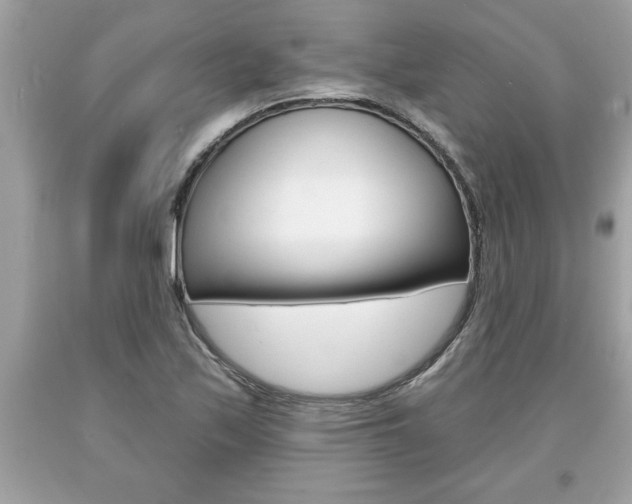 X0000094171171200710260903