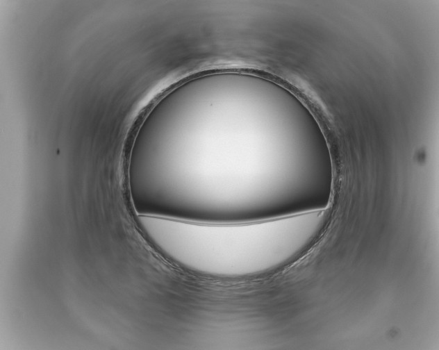 X0000094171173200710260902