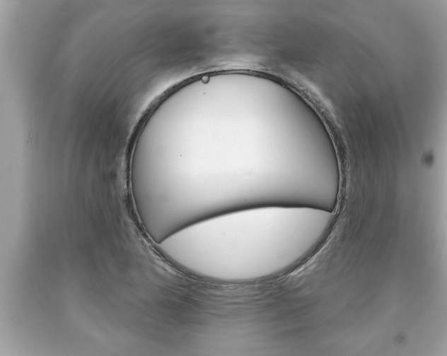 X0000094171174200710260902
