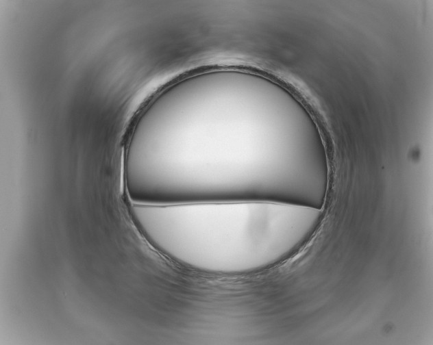 X0000094171175200710260902