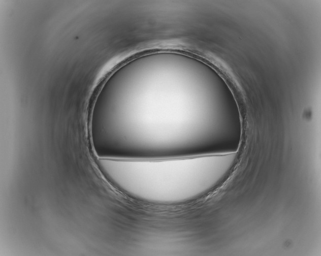 X0000094171176200710260902