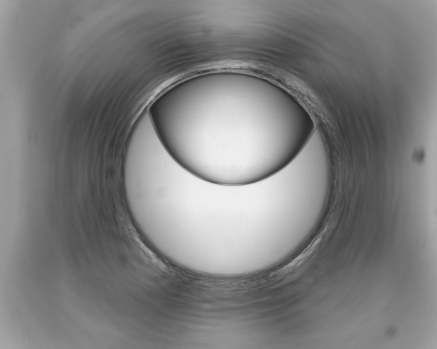 X0000094171177200710260902