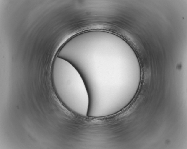 X0000094171178200710260902