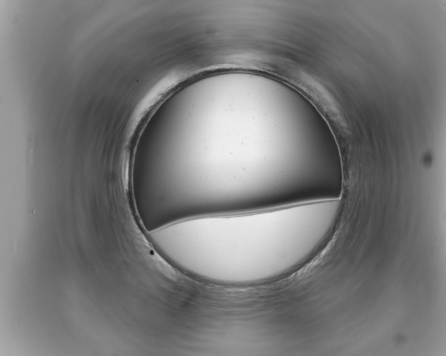 X0000094171180200710260902